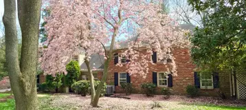 Williams & Patterson Family Dentistry