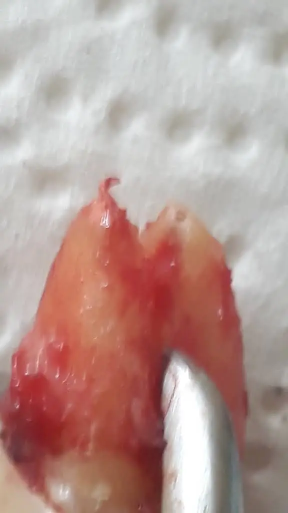 Artistic Dental Centre