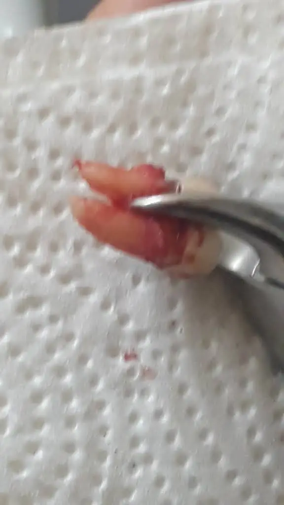 Artistic Dental Centre