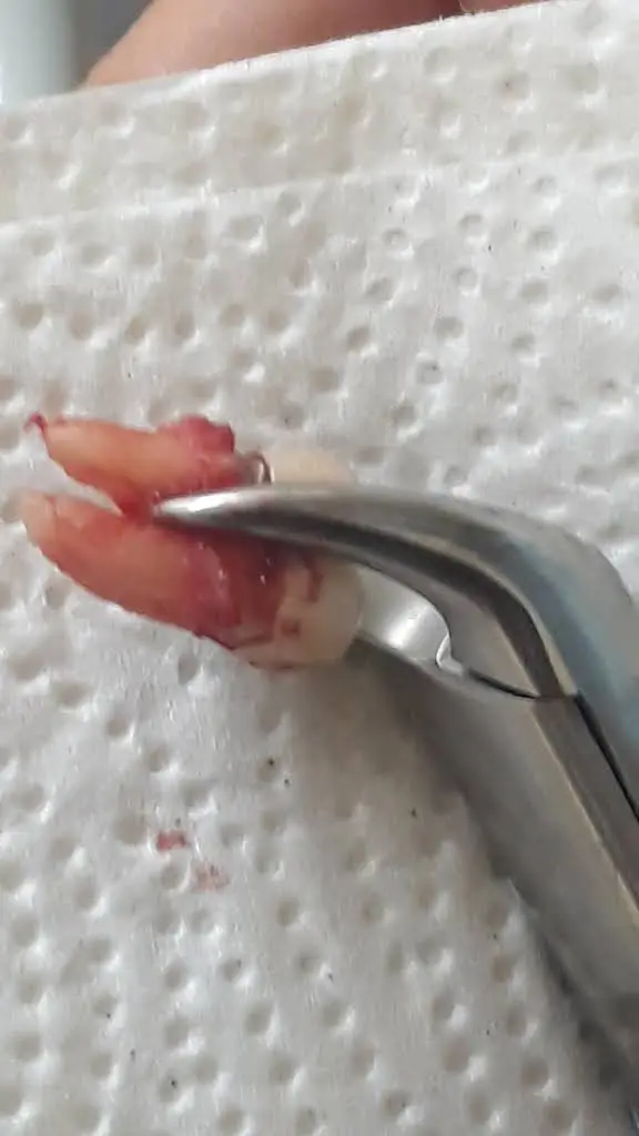Artistic Dental Centre