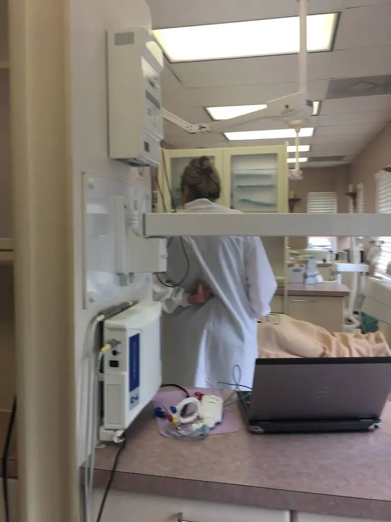 Aesthetic Dental Spa : Alex M. Naini, DDS
