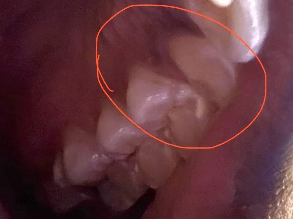 Familia Dental