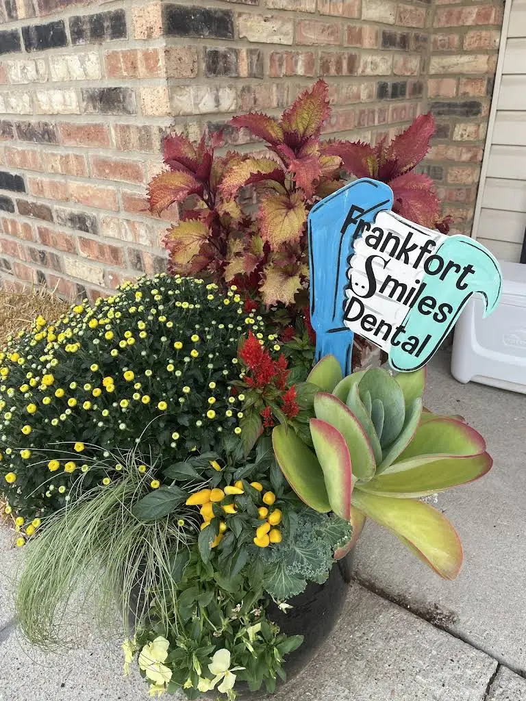 Frankfort Smiles Dental: Marissa Zoladz, DDS