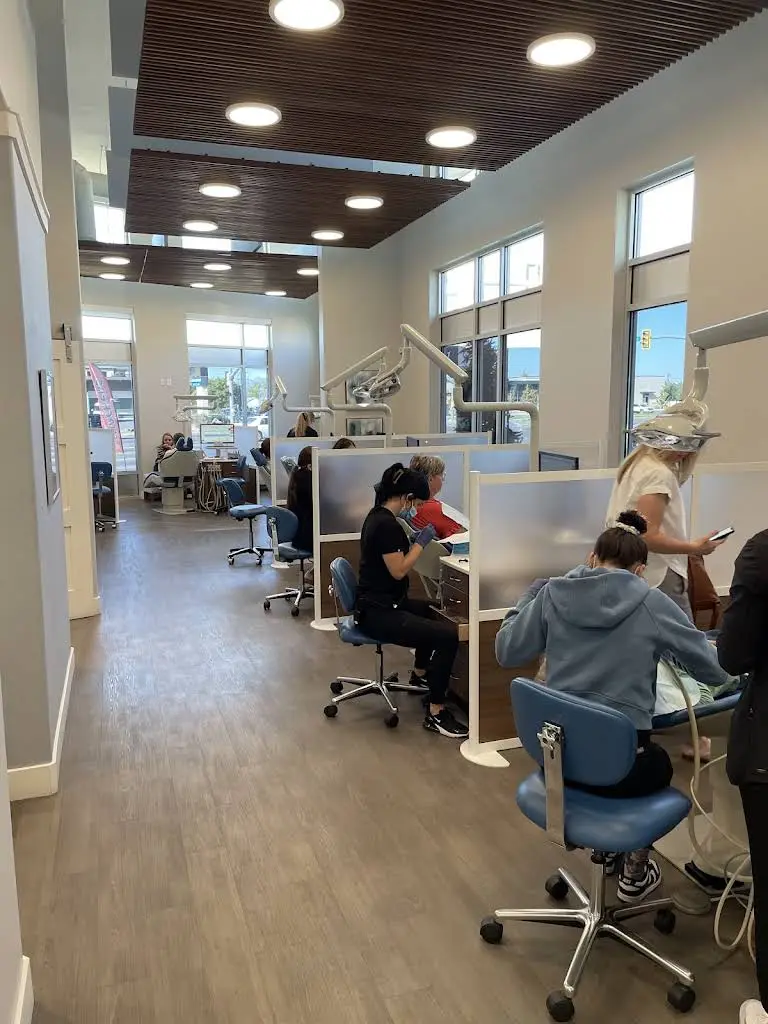 Nord Orthodontics