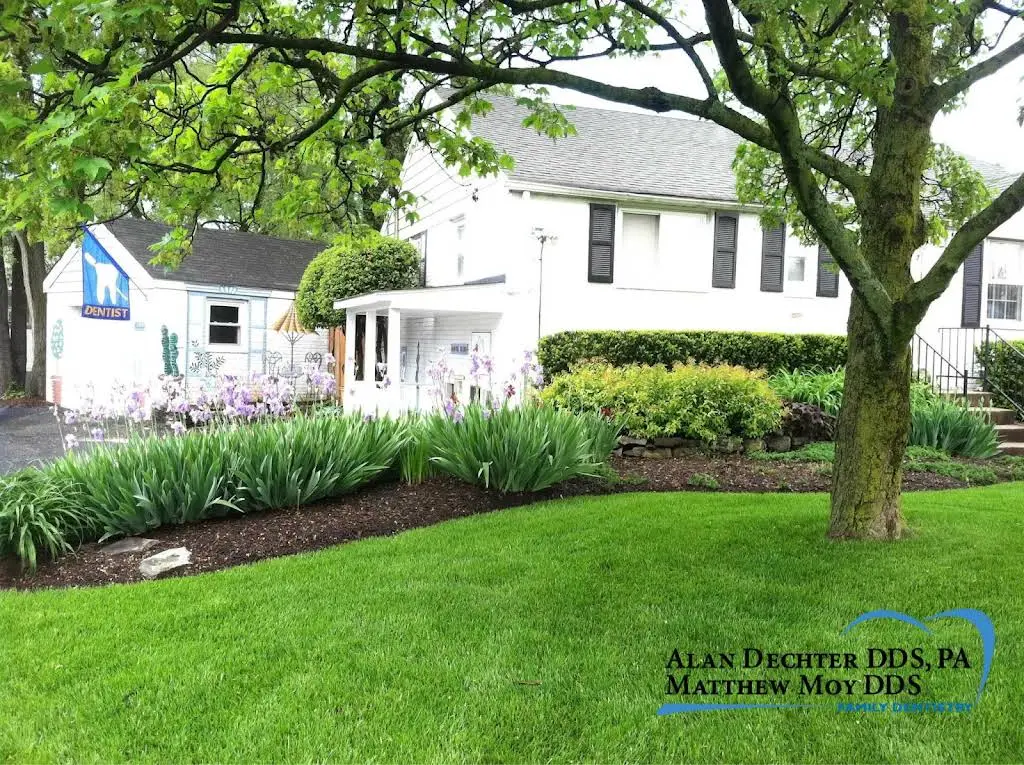 Dechter & Moy Dentistry