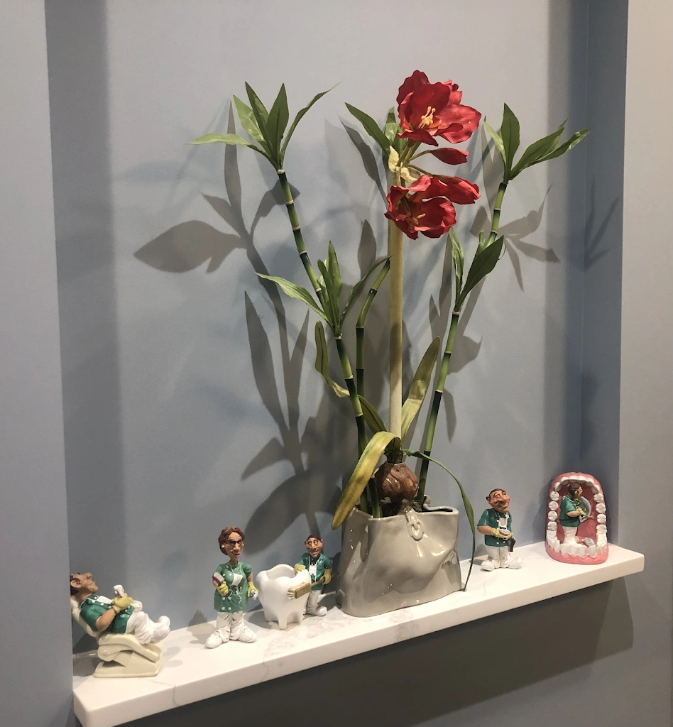 NOVA Dental Anesthesia - Burke