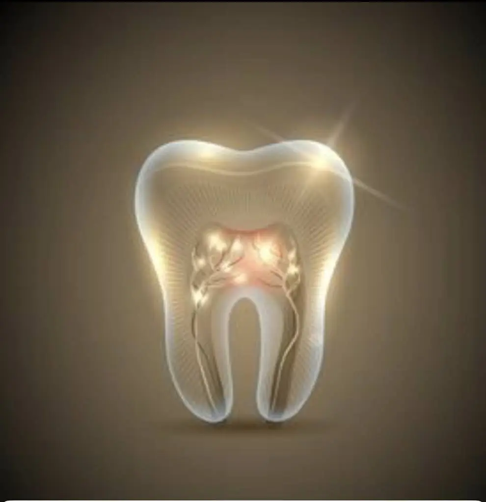 Avalon Dental Center