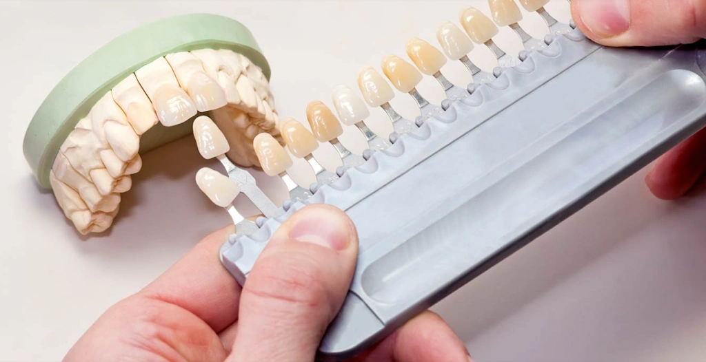 Gallant Fox Dental