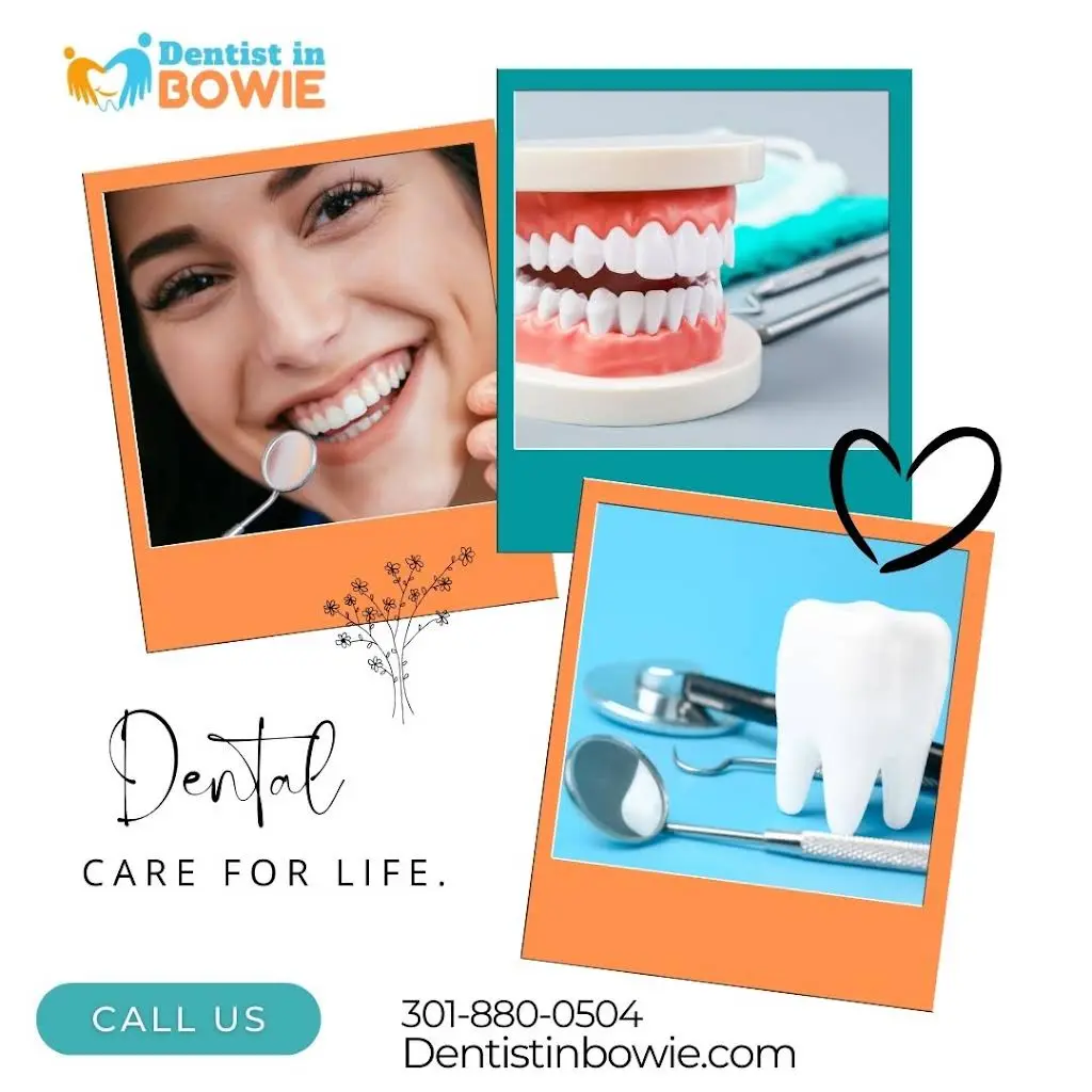 Todays Dental Partners - Enterprise