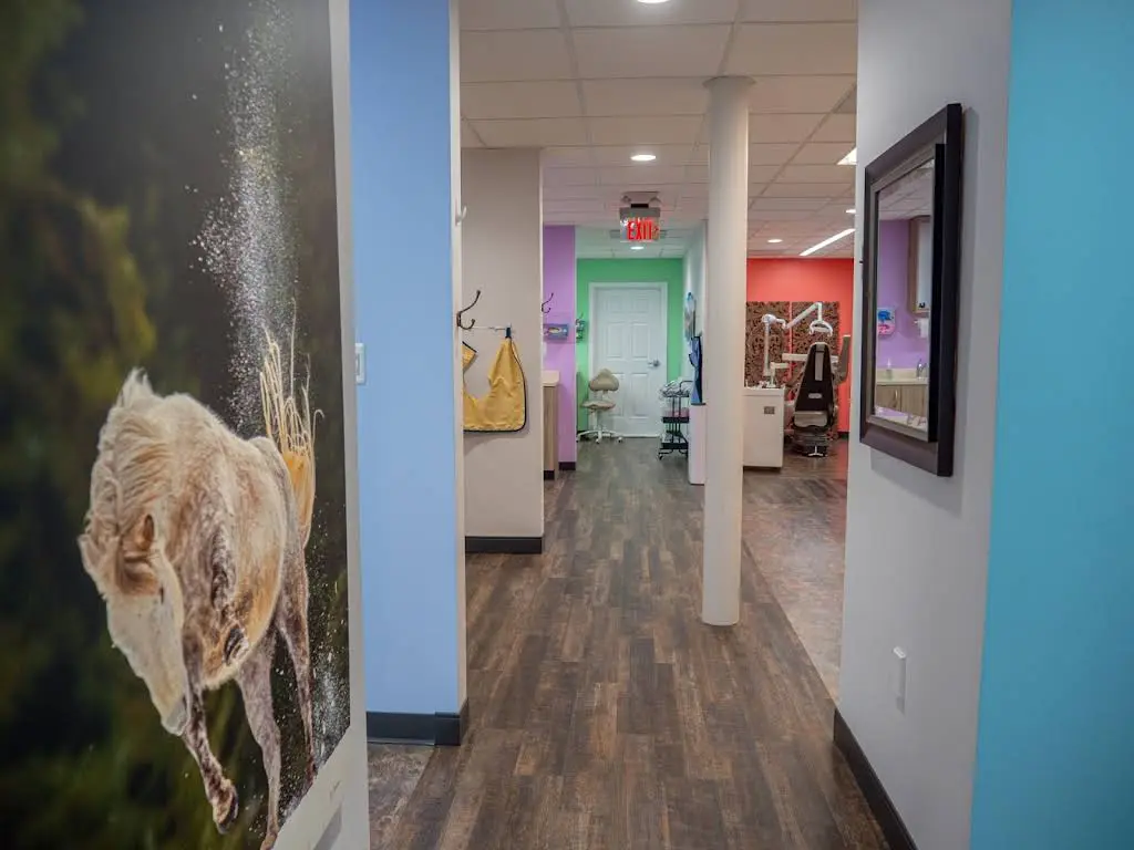 Sensational Smiles: Mary-Stuart Gallian DDS