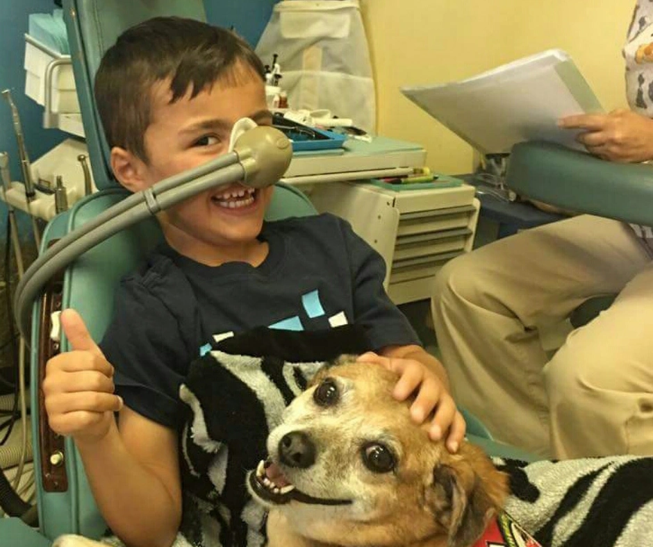 Rebecca Testa Pediatric Dentistry