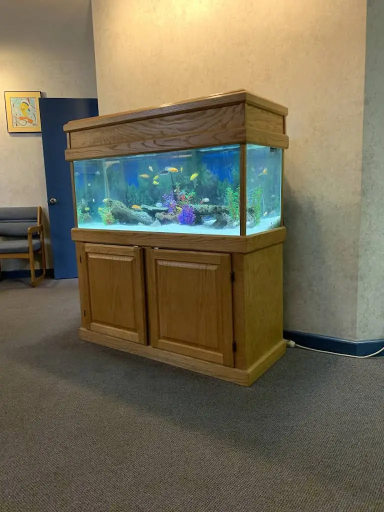 HIGHLAND PEDIATRIC DENTISTRY P.C