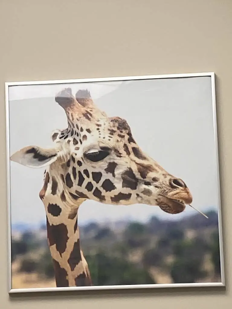 McKell/Packer Dental