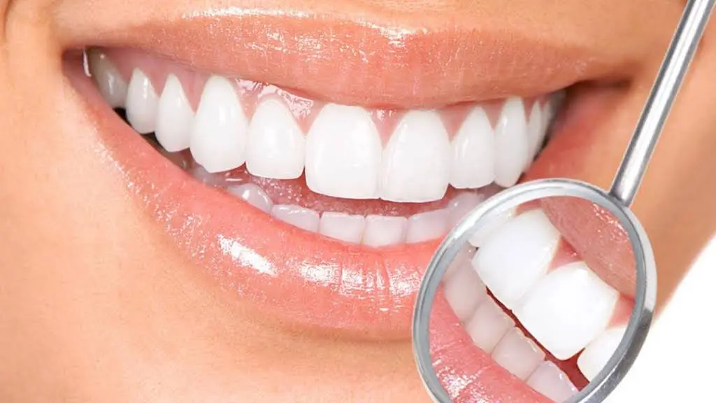 Bowie Braces