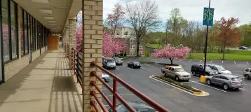 Cherry Tree Family Dentistry