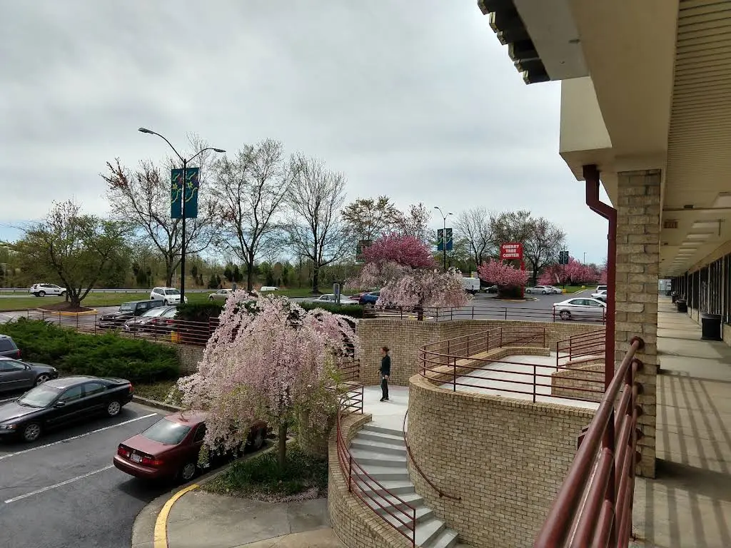 Cherry Tree Family Dentistry
