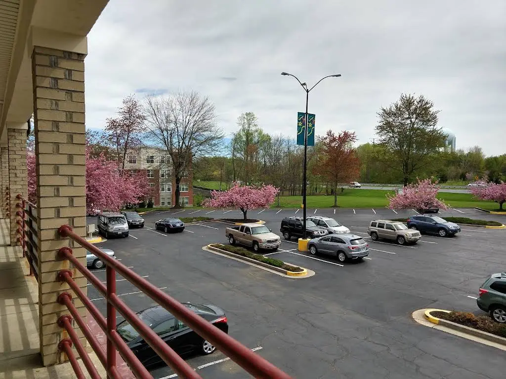 Cherry Tree Family Dentistry