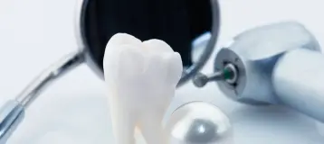 Dr. Nadia Kamangar DDS