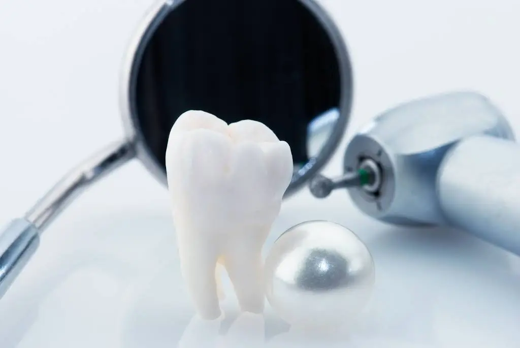 Dr. Nadia Kamangar DDS