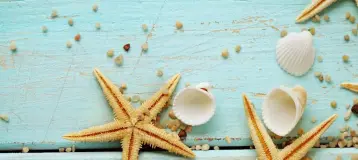 Key West Family Dentistry