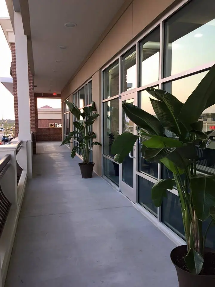 Ridgetop Dental - Alexandria