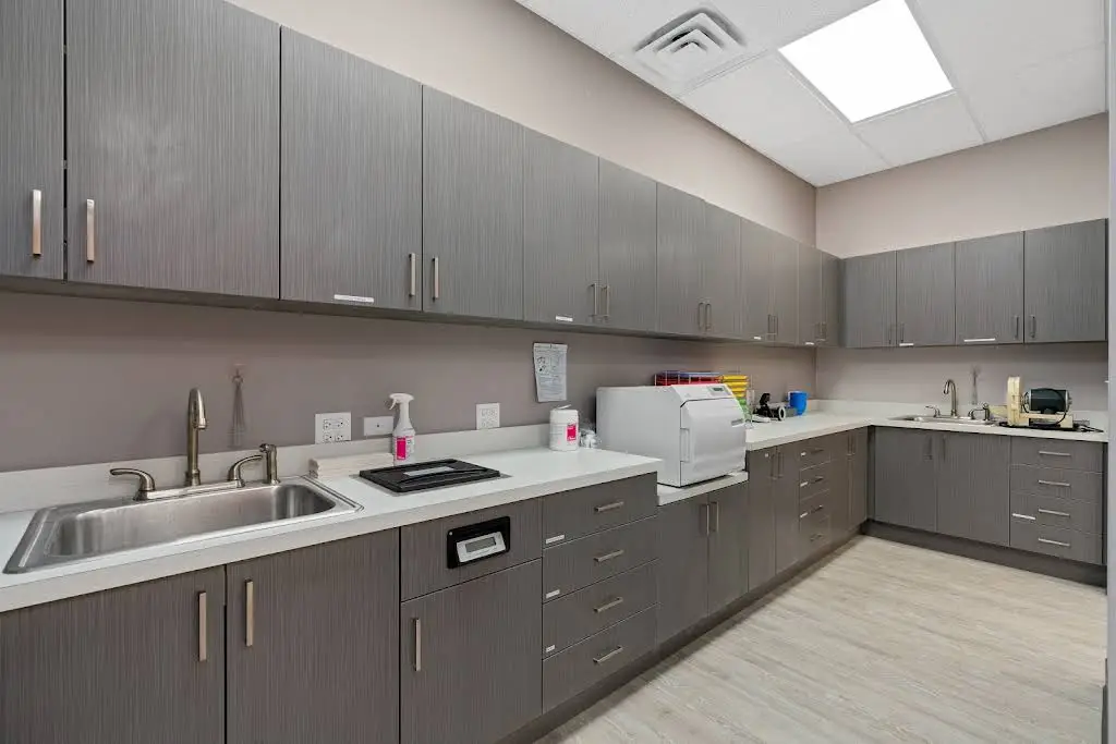 Orthodontic Experts Waukegan