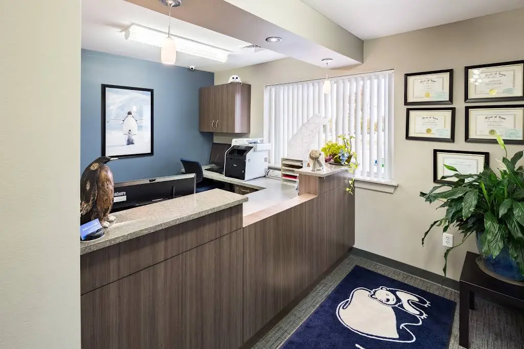 Arctic Dental, PLC