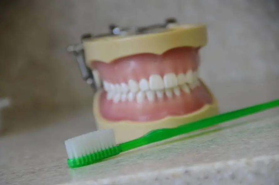 Lifetime Dentistry