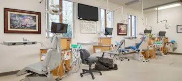 Paul E. Miller, DDS, PC