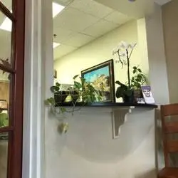 Villa Dental