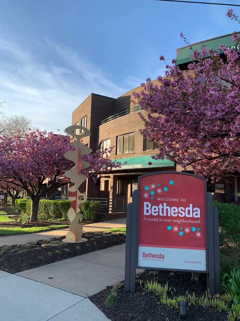 Bethesda Dental Health: Sheida Larijani DDS