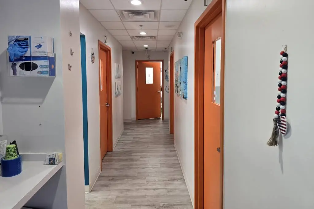 All Star Pediatric Dentistry