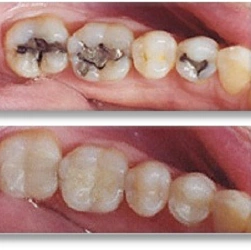 Congressional Dental Care