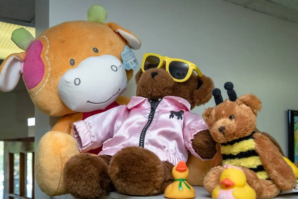 Team Pediatric Dentistry