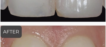 The Dental Lounge