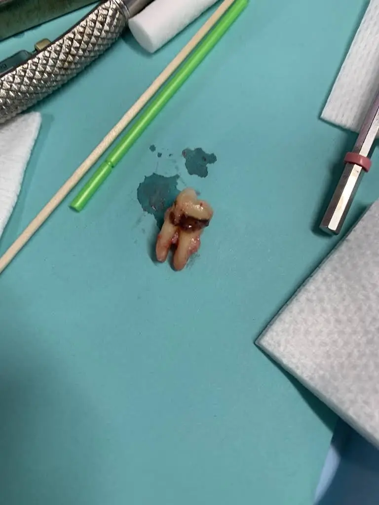Coral West Dental