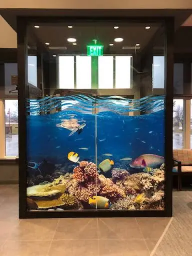 The Children's Dental Center