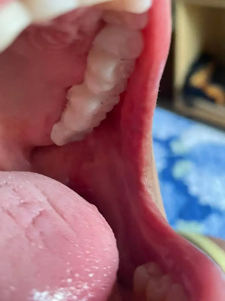 Stoute Dental - Crofton