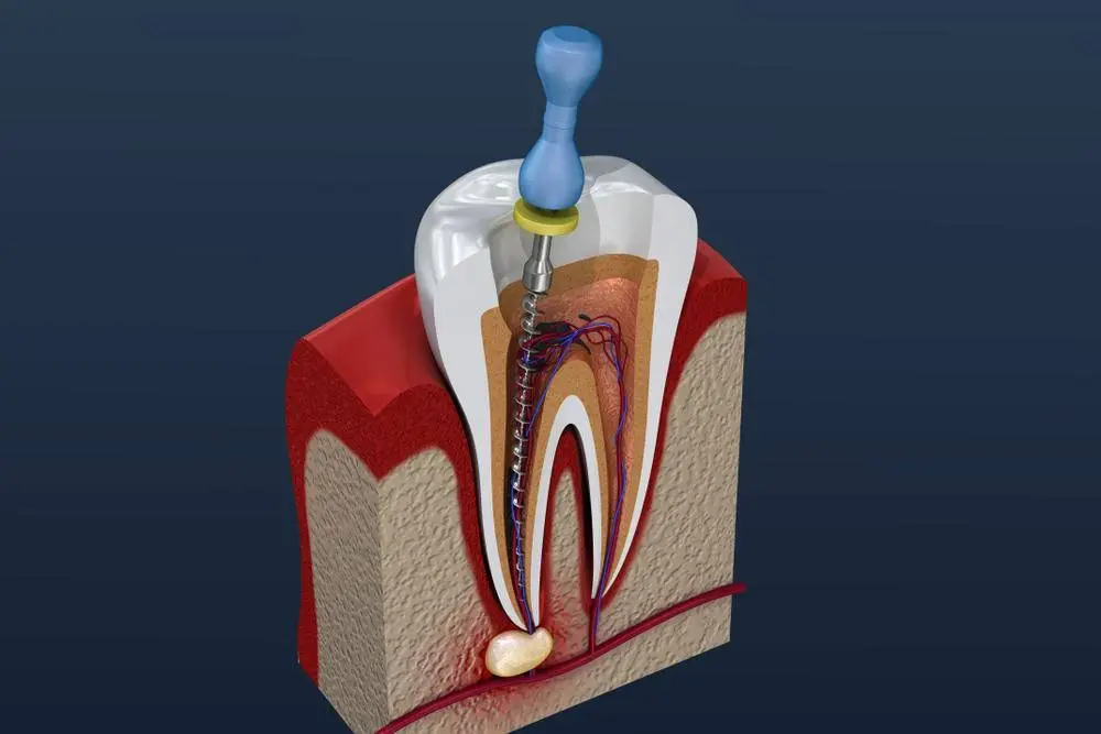 Rockville Dental Arts