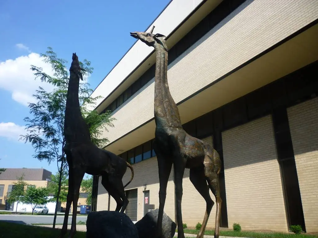 Rockville Advanced Dentistry