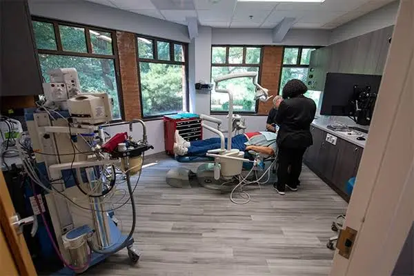 CascadesONE Dental - Burke