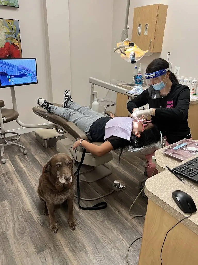 Walsh Dental Care