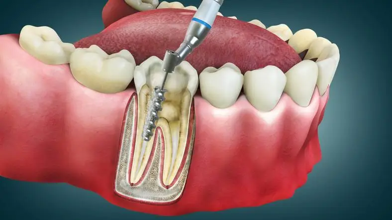 Dental Designers of Rockford