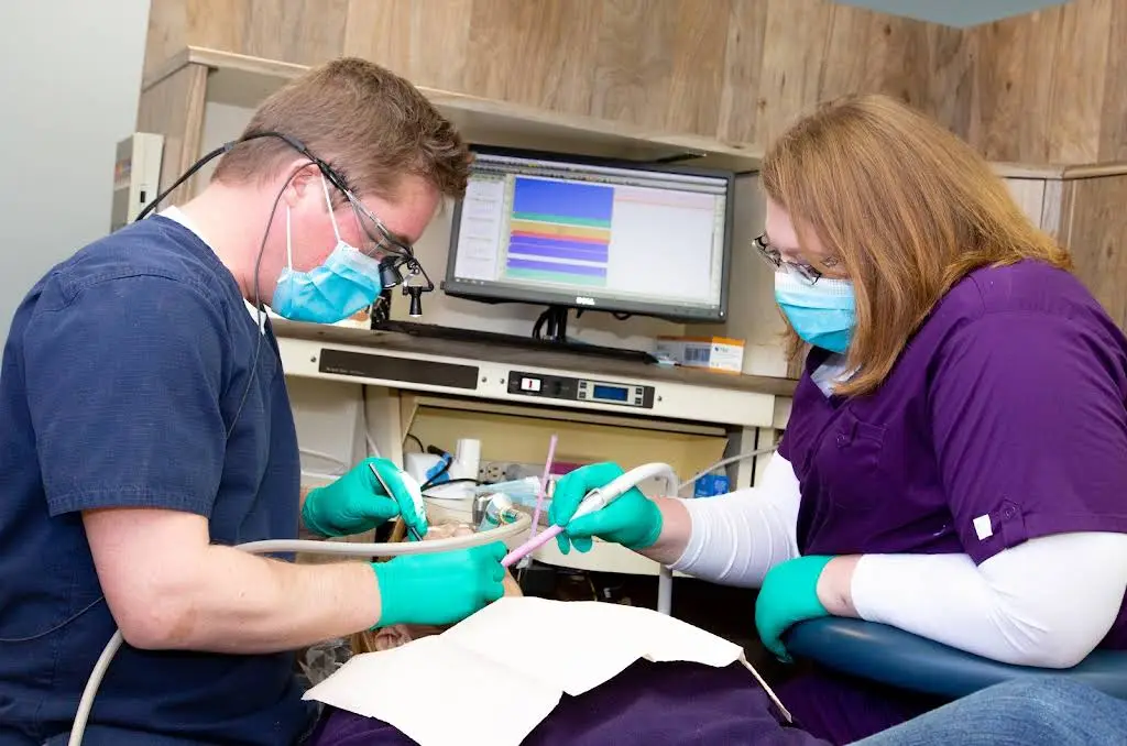 DK Dental Care