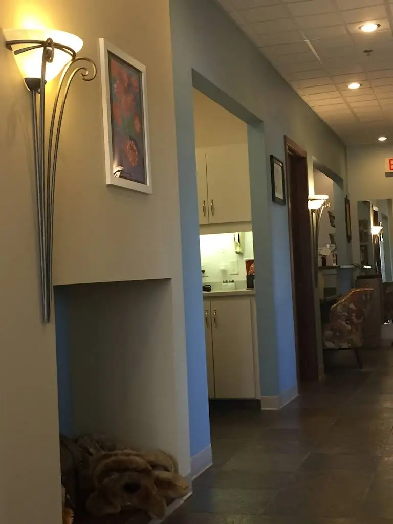 Healthy Smiles Dental Care, SC : AJ Hamedi, DDS