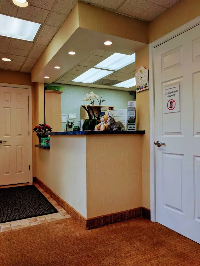 Joan M. Kanter DDS, PA