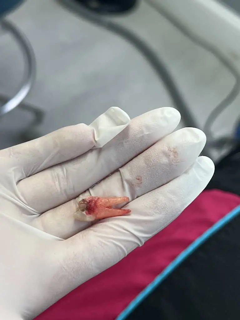 Dental Care of Waldorf