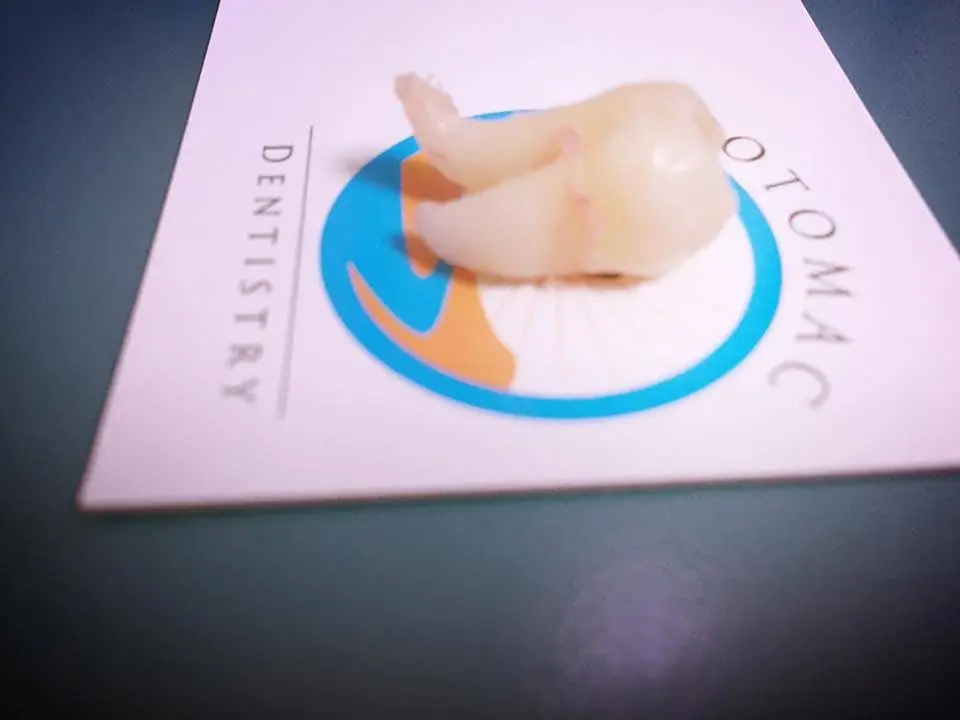 Potomac Dentistry