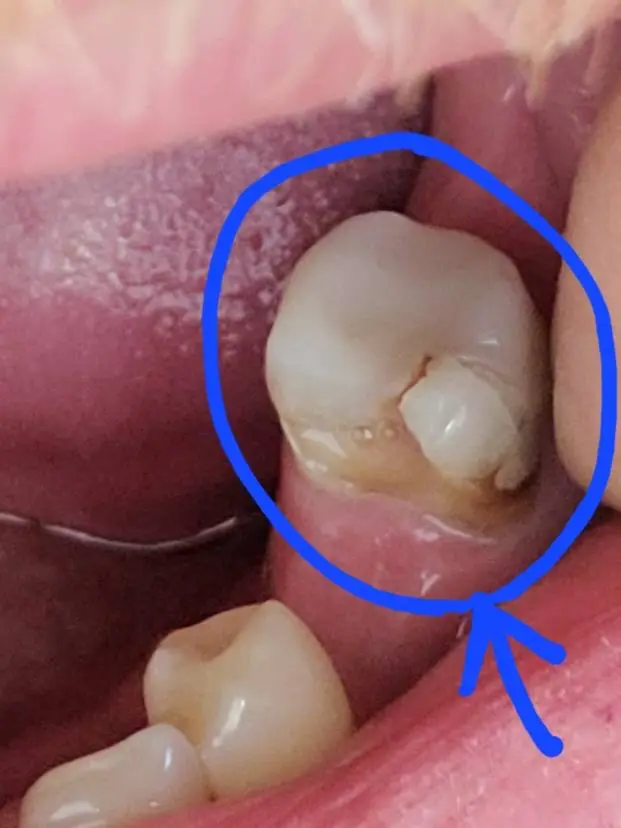 Dental Dreams-Machesney Park