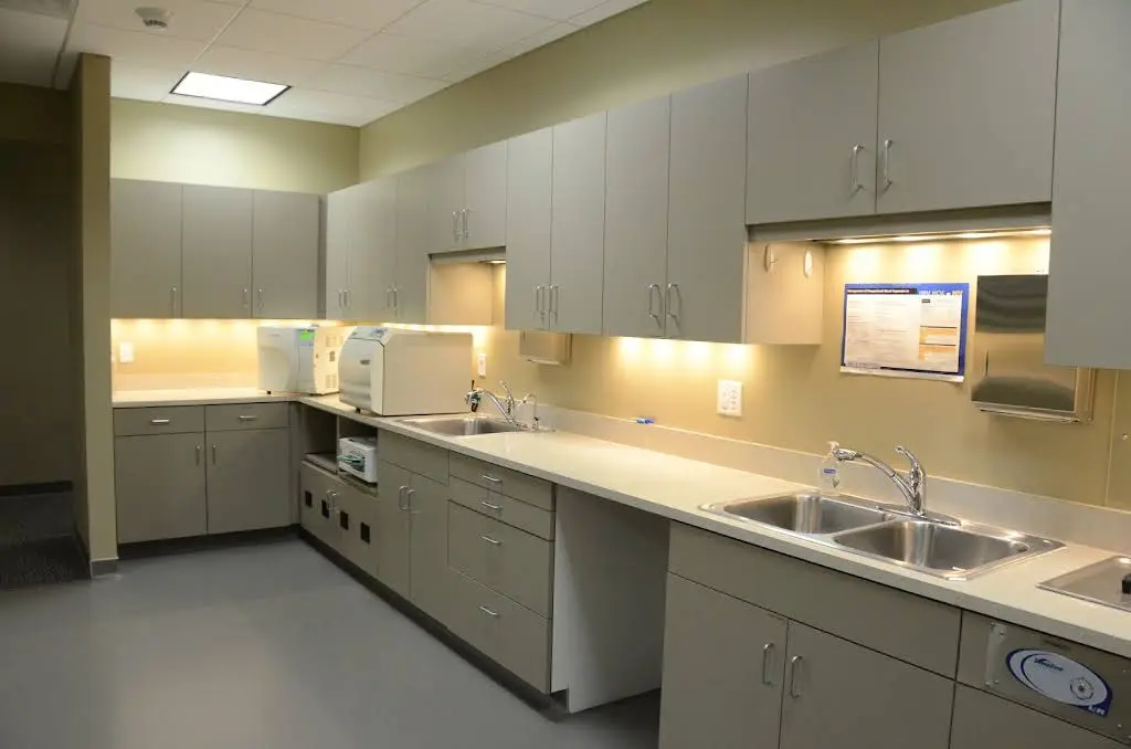 Dental Professionals